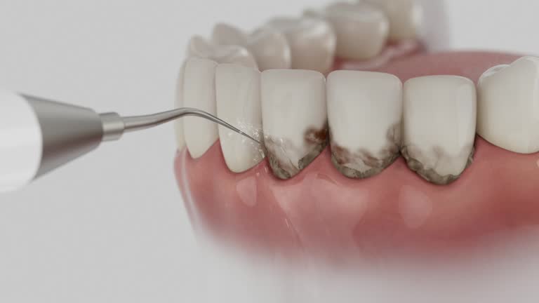 Reliable Dental contractor in Burgin, KY by Dentist Open Now